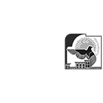 DM